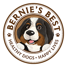 Bernie's Best