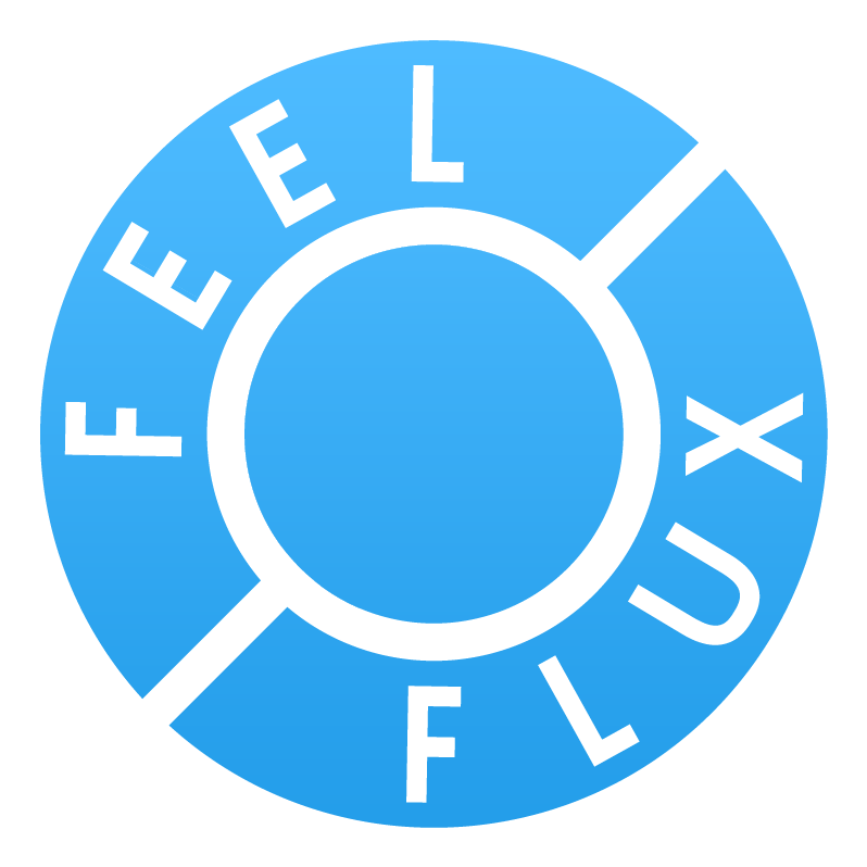 Feel Flux