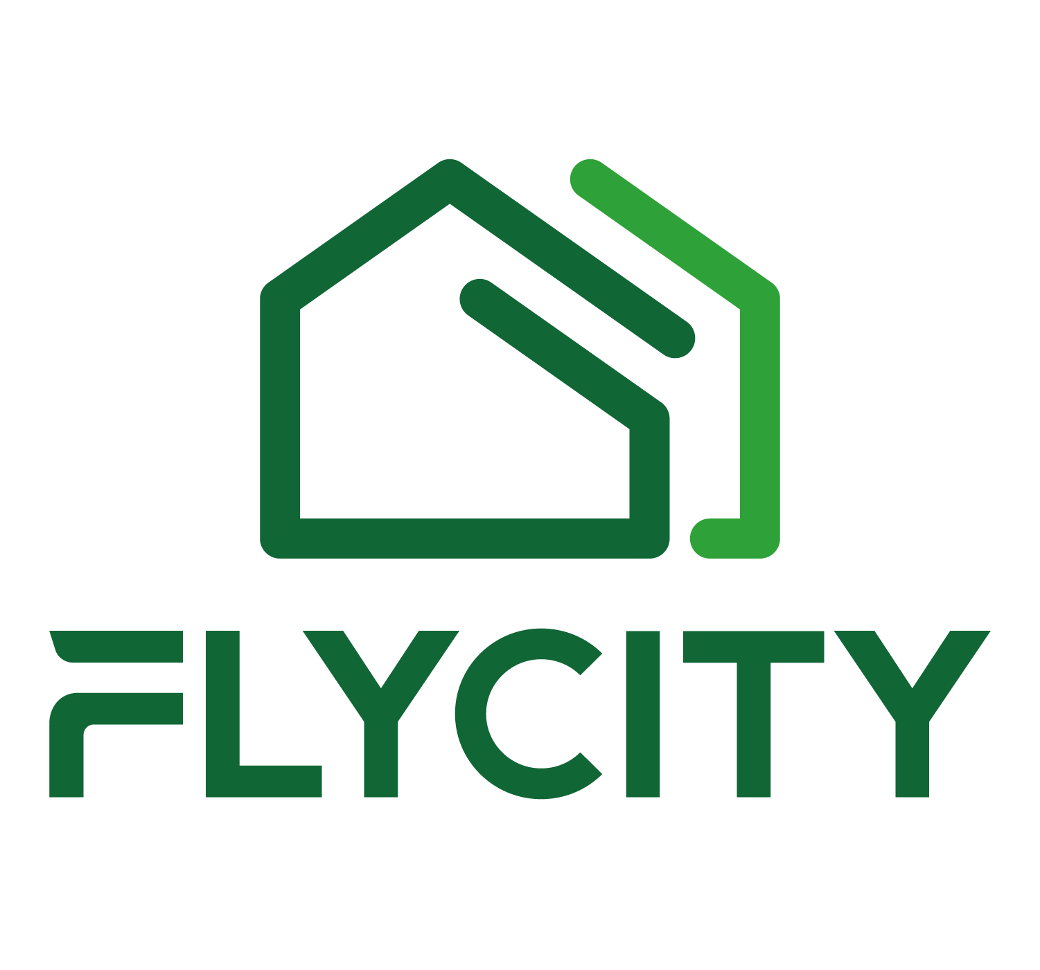 Flycity