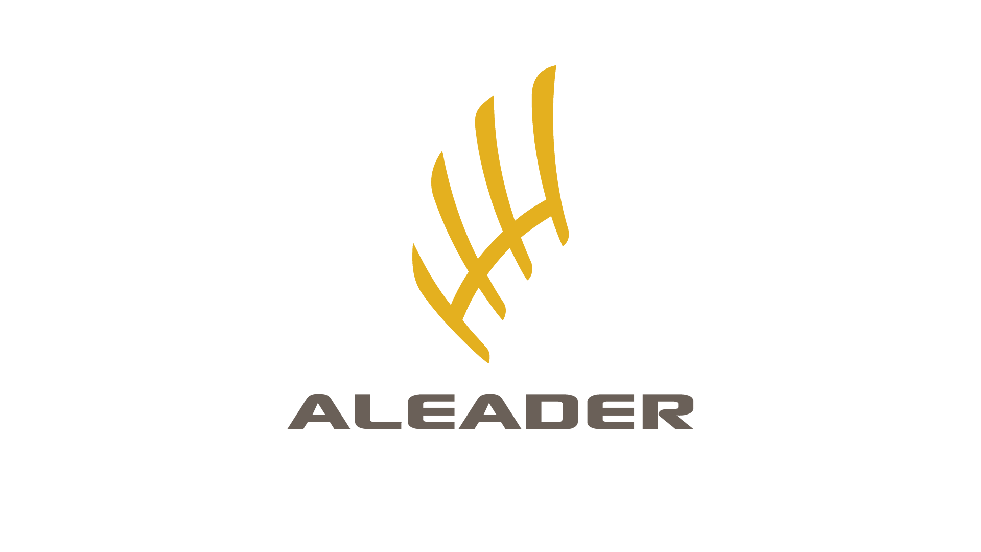 Aleader ?>