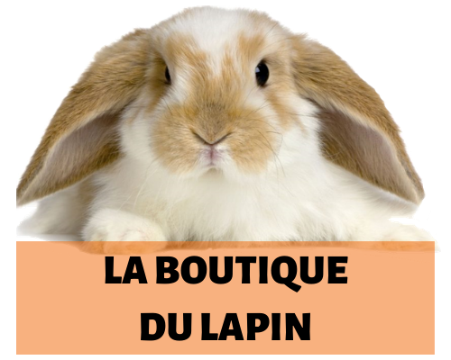 La Boutique Du Lapin