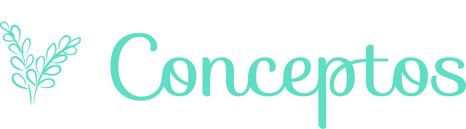 Conceptos