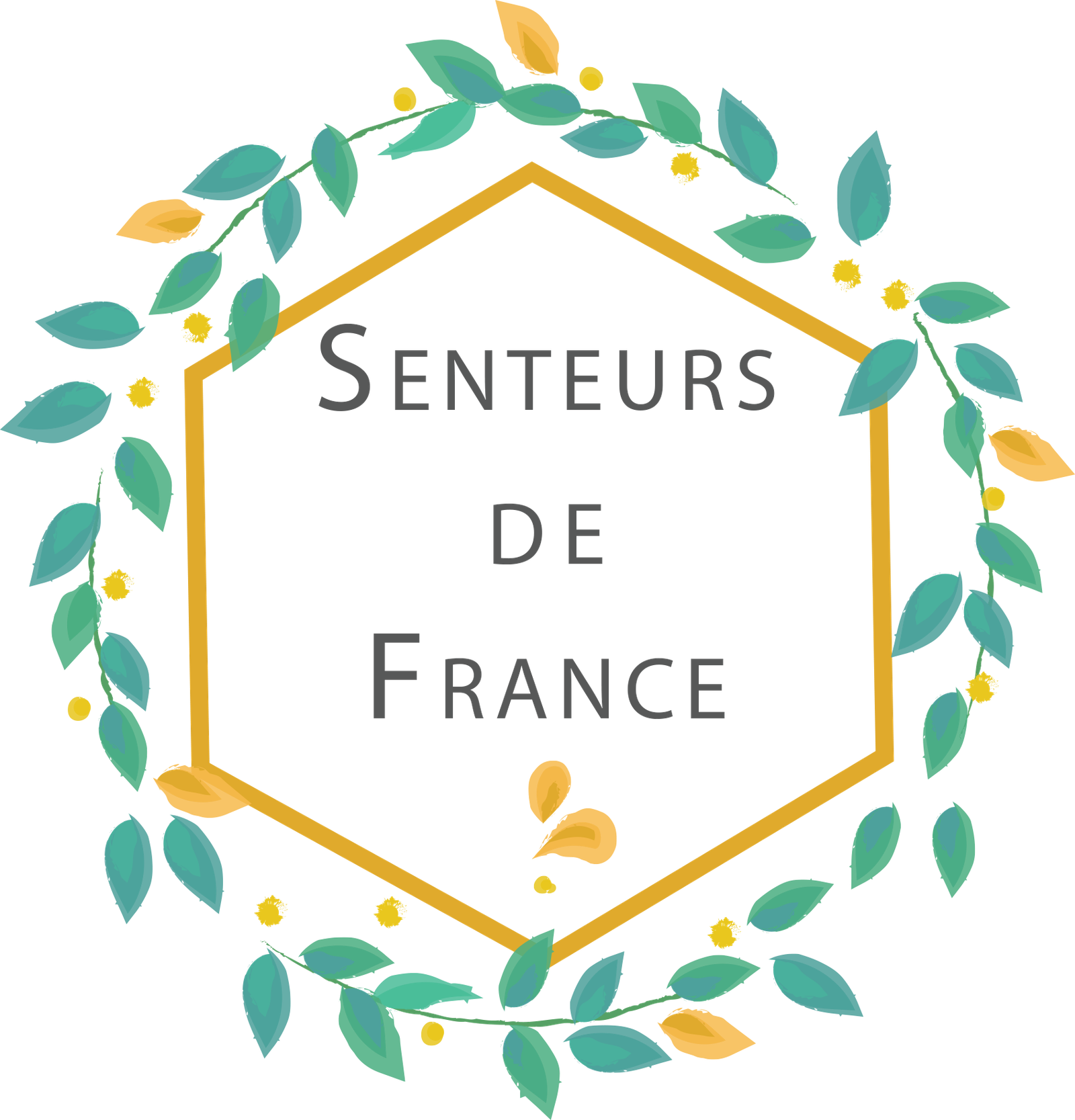 Senteurs De France