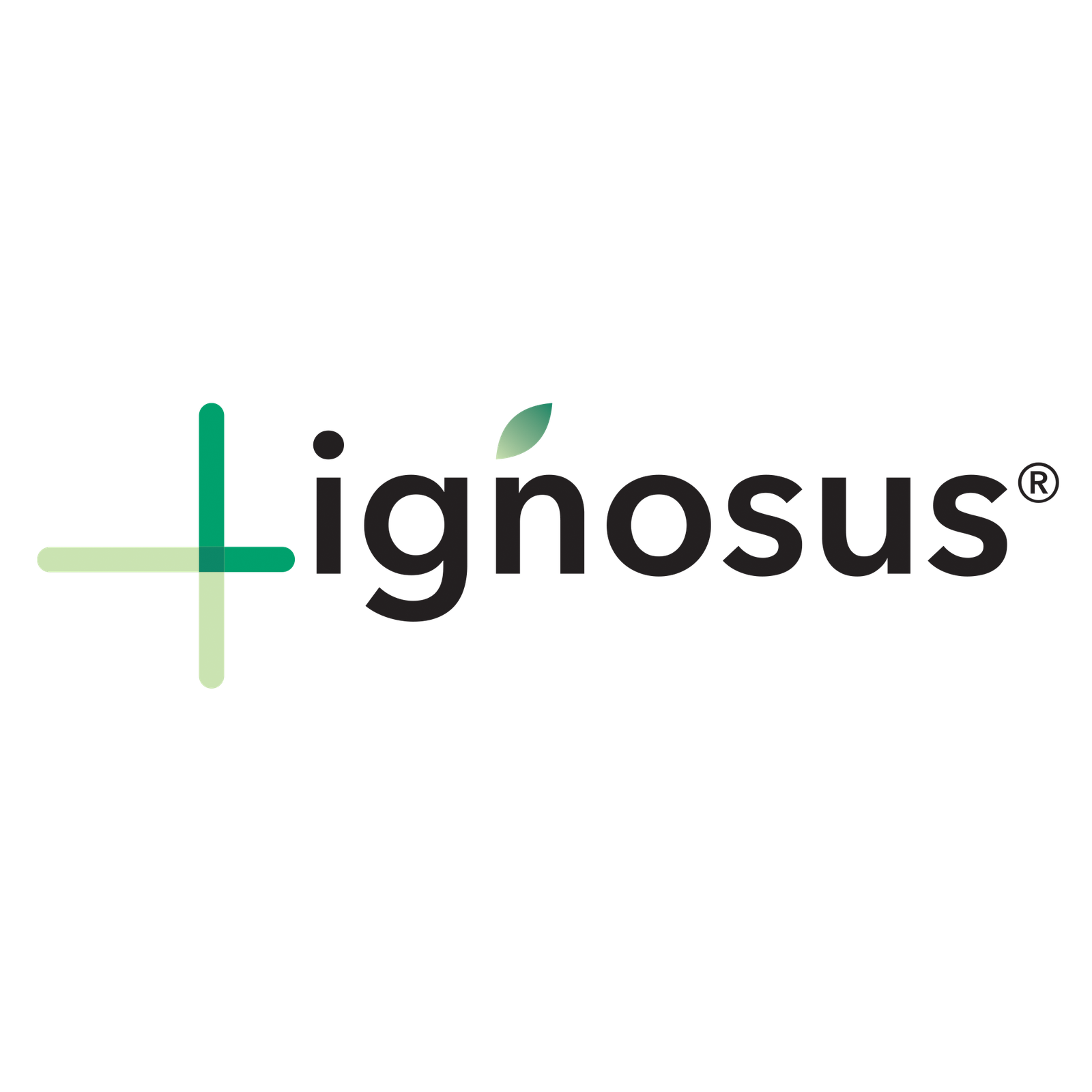 Lignosus Uk