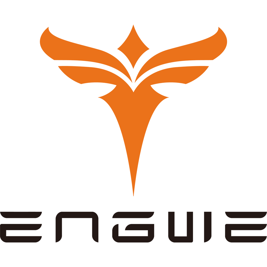 Engwe It