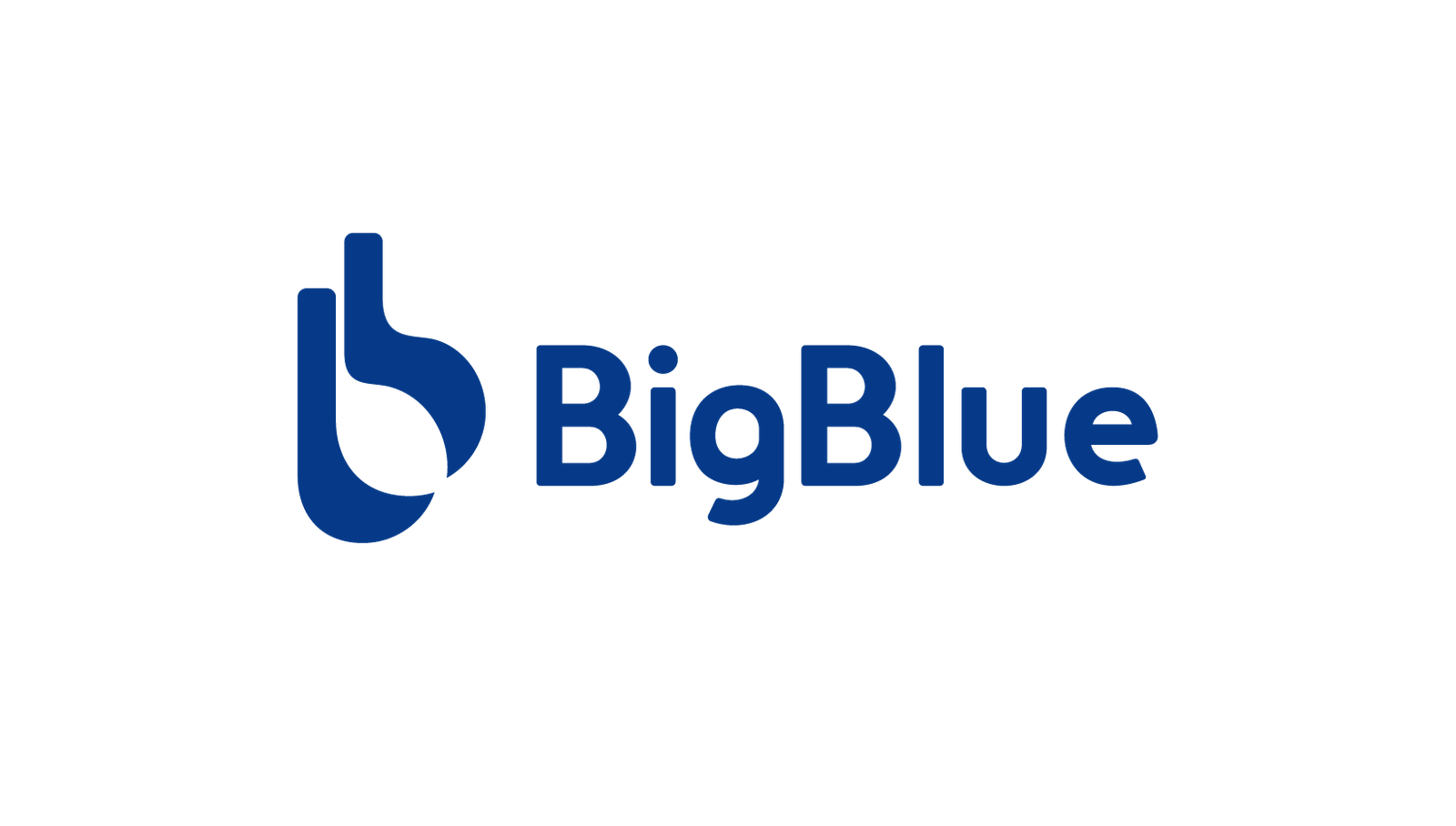 Bigblue Official Store